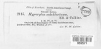 Image Associated With the Occurence